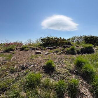 下山前にコイカク山頂の様子をパシャリ📸
スペースあるが斜めってるので2張⛺️位かな

筋斗雲みたいな雲☁️可愛い