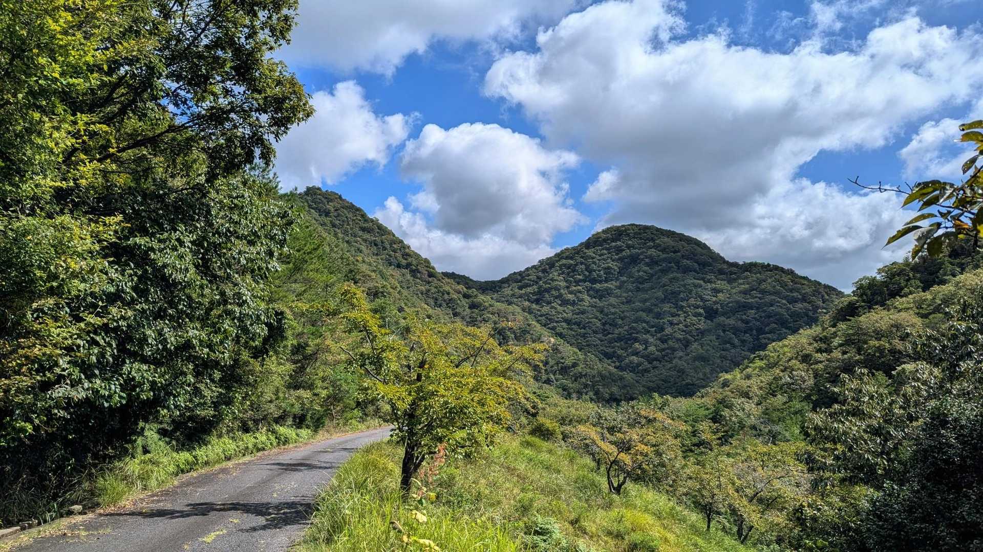 たぶん、石堂丸山と船坂山が見えてるんだと思う