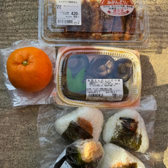 新幹線でお弁当を食べてから既に6時間が経過
和歌山市駅で調達したお昼ごはんを早々に食べる