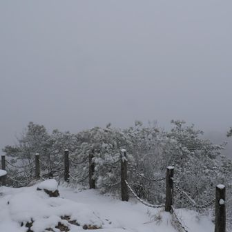 麓から見上げてわかってはいたのだけれど、
う～ん
鈴振崖は雪雲の中で360°なにも見えない