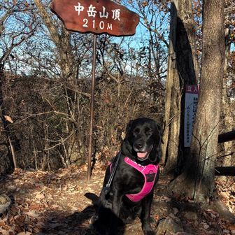 中岳⛰️