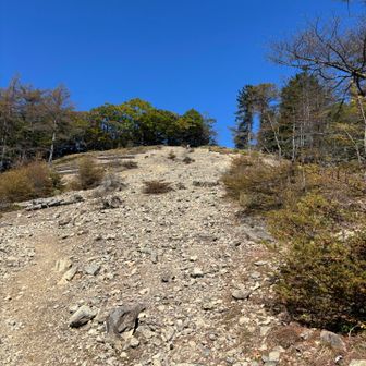 この坂はきついって！文句言いながら登りました