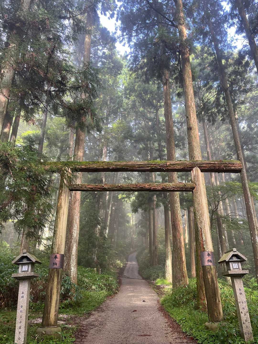お気に入りの鳥居で一礼⛩️
ちょうど光が差し込んできて綺麗でした🤩