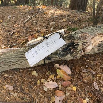 グレーピーク🩶名前が漢字六文字で時代劇に出てきそう⁉️渋くて良い👍
わざわざ登らなくても取れたみたいだけど😇