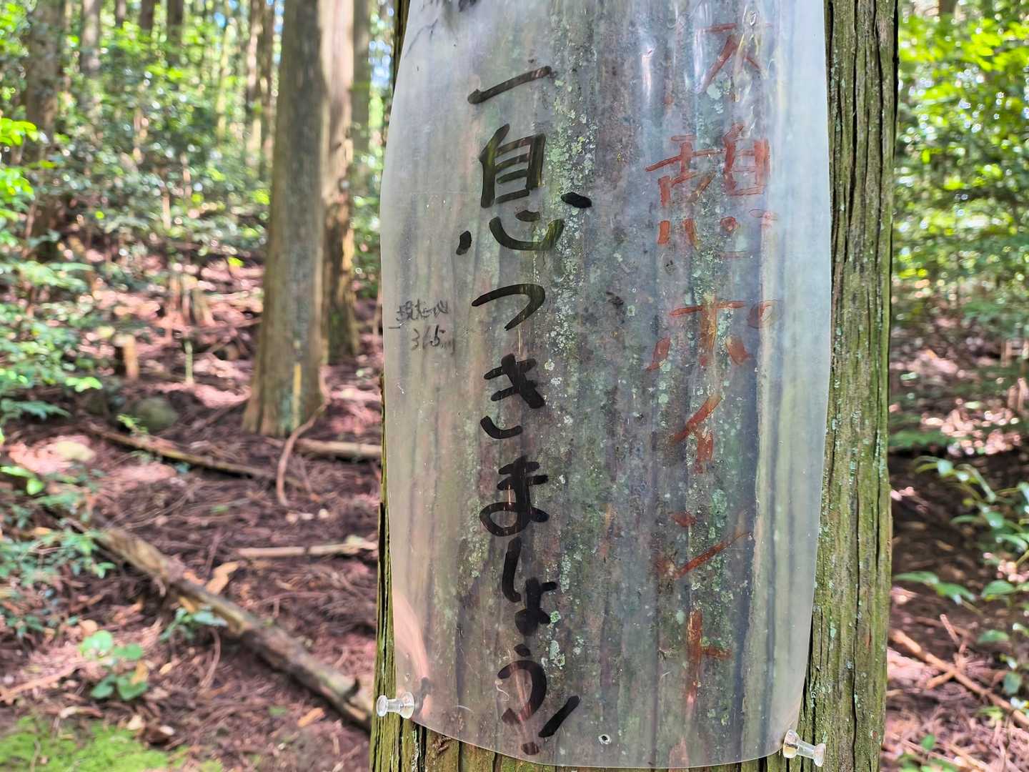 何においても「のんびり」と「ぼちぼち」と一息つきながら一歩ずつ進みたいです。
