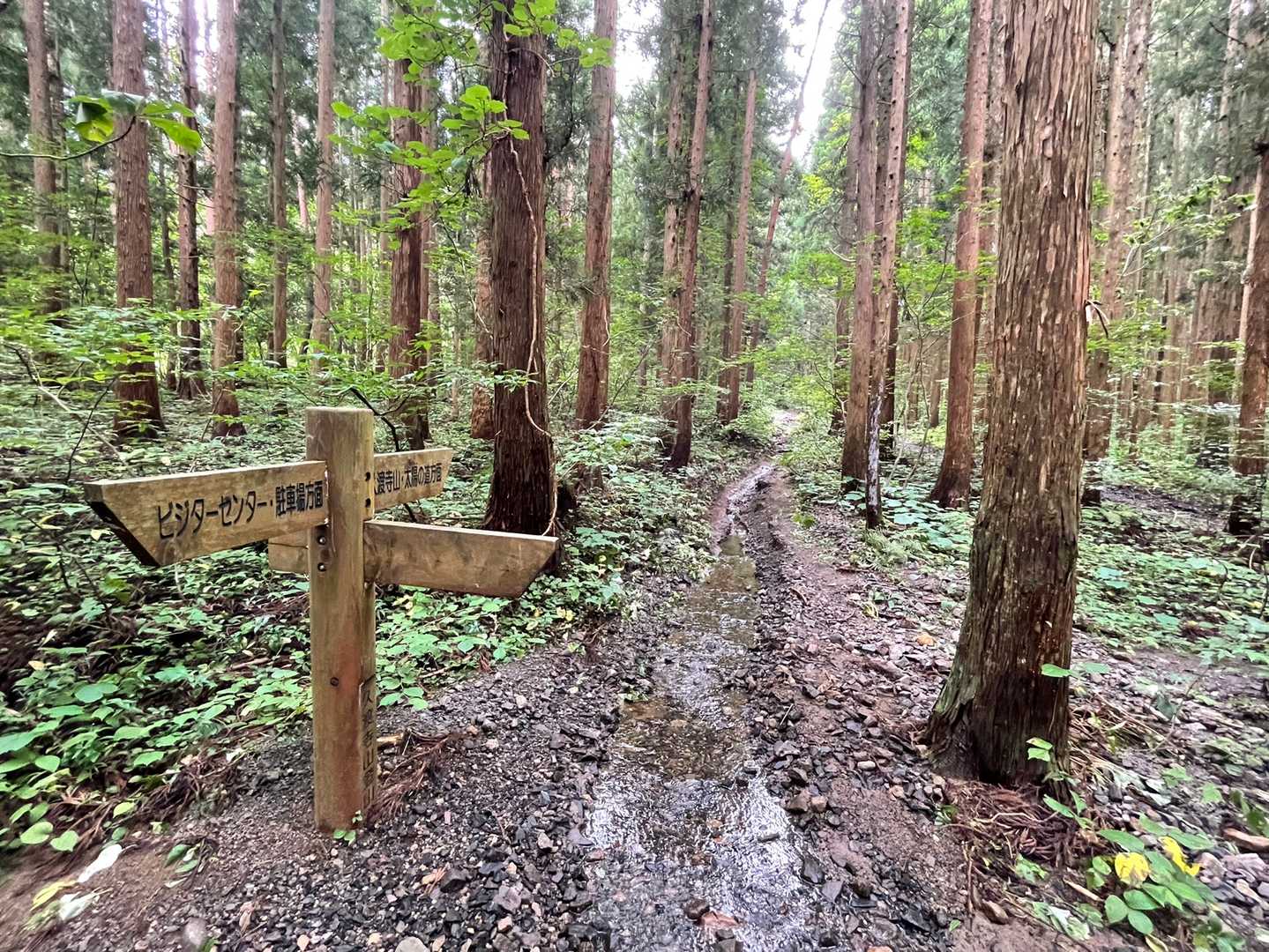 林道が川の様になってます