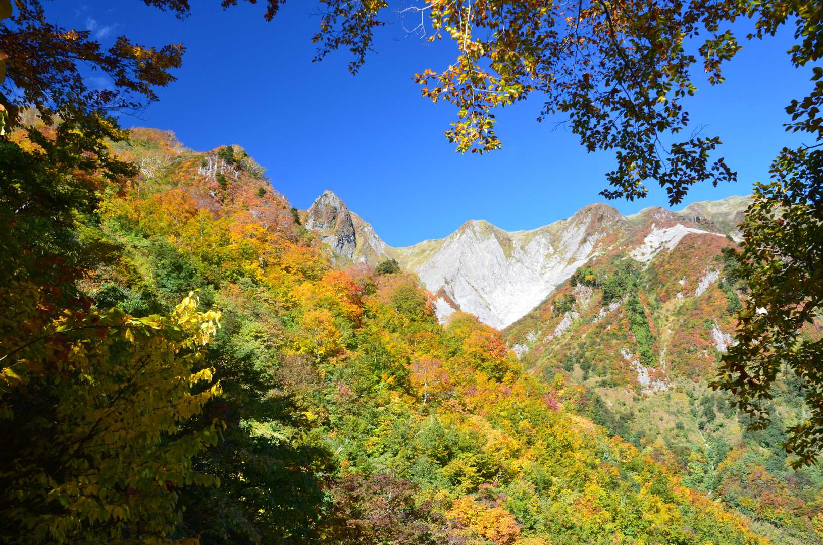 雨飾山 往復 | 急登を越え圧巻の迫力の岩峰群と稜線上の楽園を愛でるの写真