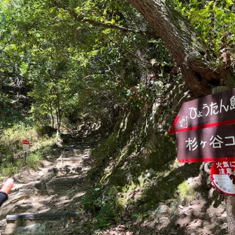 「ひょうたん島コース」で登り返し。開けていて歩き易い。