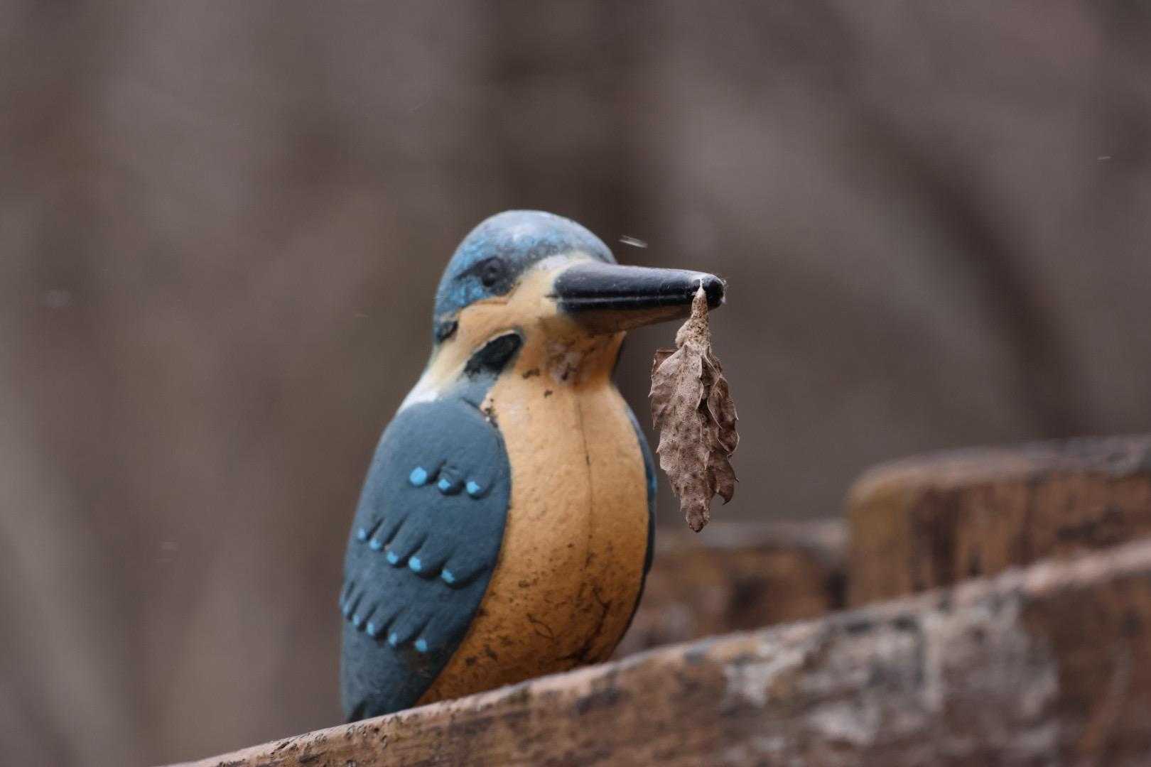 ミノムシ🍂🥰