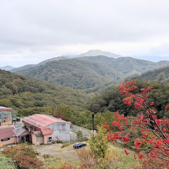 朝には見えなかったお山が💚
ムチャクチャな紅葉鑑賞🍁でしたが、装備について反省したりなど、とても良い経験になりました👍
悪天候のおかげで今日出会えた皆さんとは楽しい会話をしてお別れしまして、素敵な良い思い出になりそうです😊
今度の紅葉🍁は格別なものになるのかも