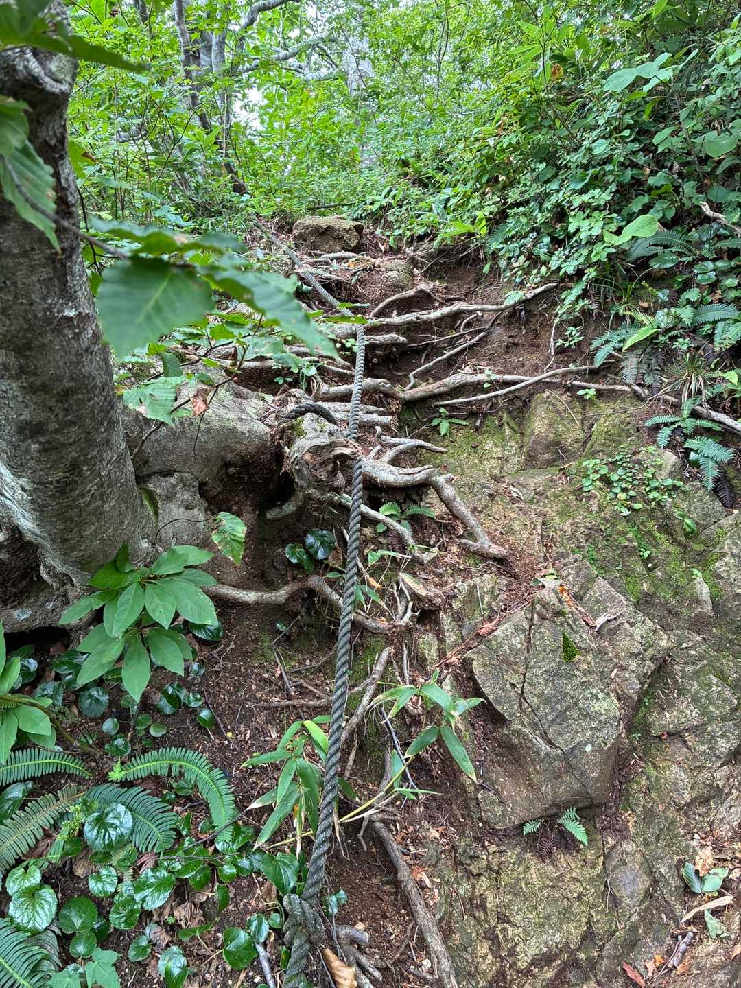 登りが続きます💪