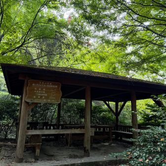 東屋🛖