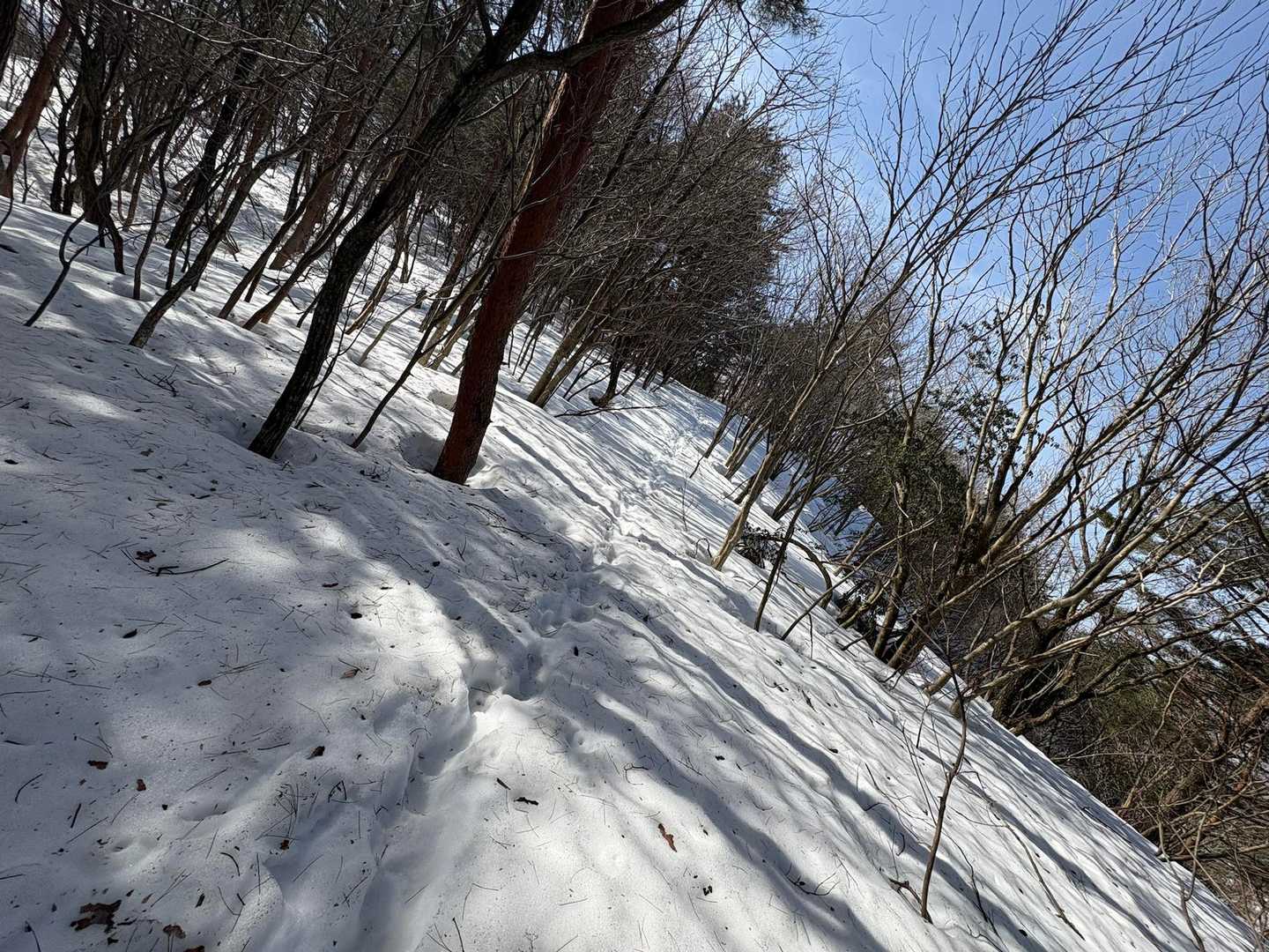 そろそろ　ワカンだな〜☹️
林の中は　足跡も消えかけ…👣