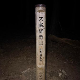 本日最後のピーク
山梨百名山 64座目 大蔵経寺山 登頂

山神宮本殿からの直登ルートは途中にスズメバチの目撃情報があるのでつづら折りの方で下ります