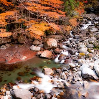 車止めた近くの川。
綺麗ですね。