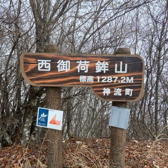 山頂ゲットして