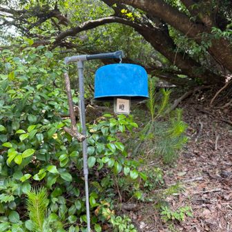 新烏ヶ岳ピークから降りてくると、熊よけの鐘🔔 鳴らしておきました