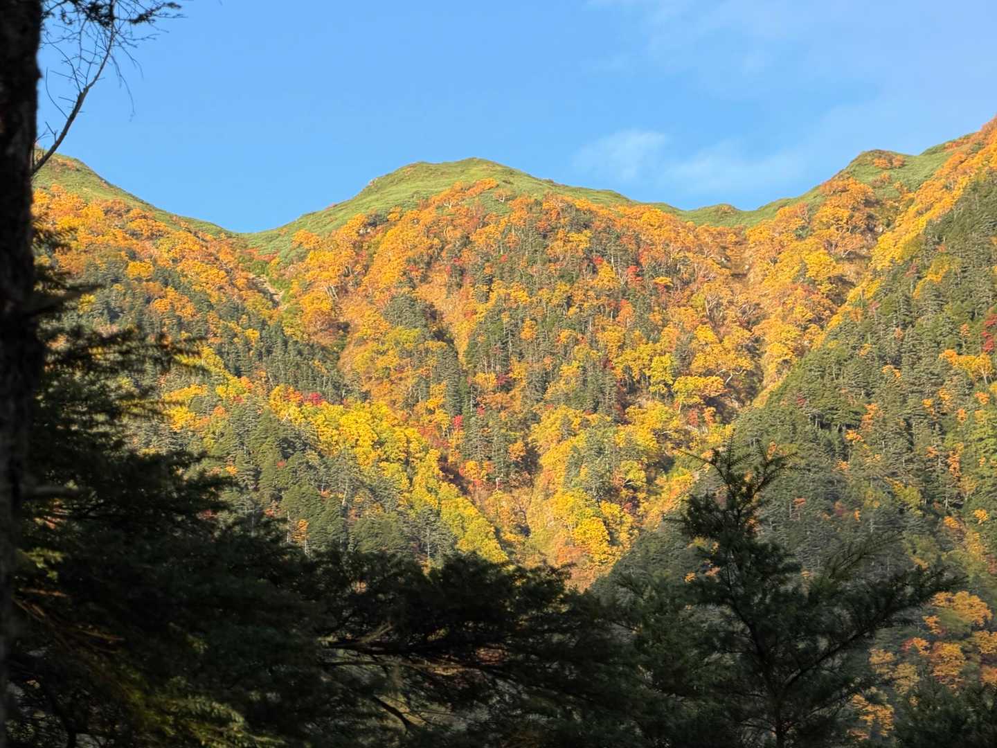 紅葉が良い感じ🍁