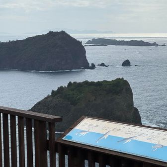 展望台からの眺望。
中央奥には母島が見えています。