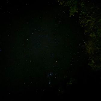 写真ではわかりにくいけど見事な星空でした