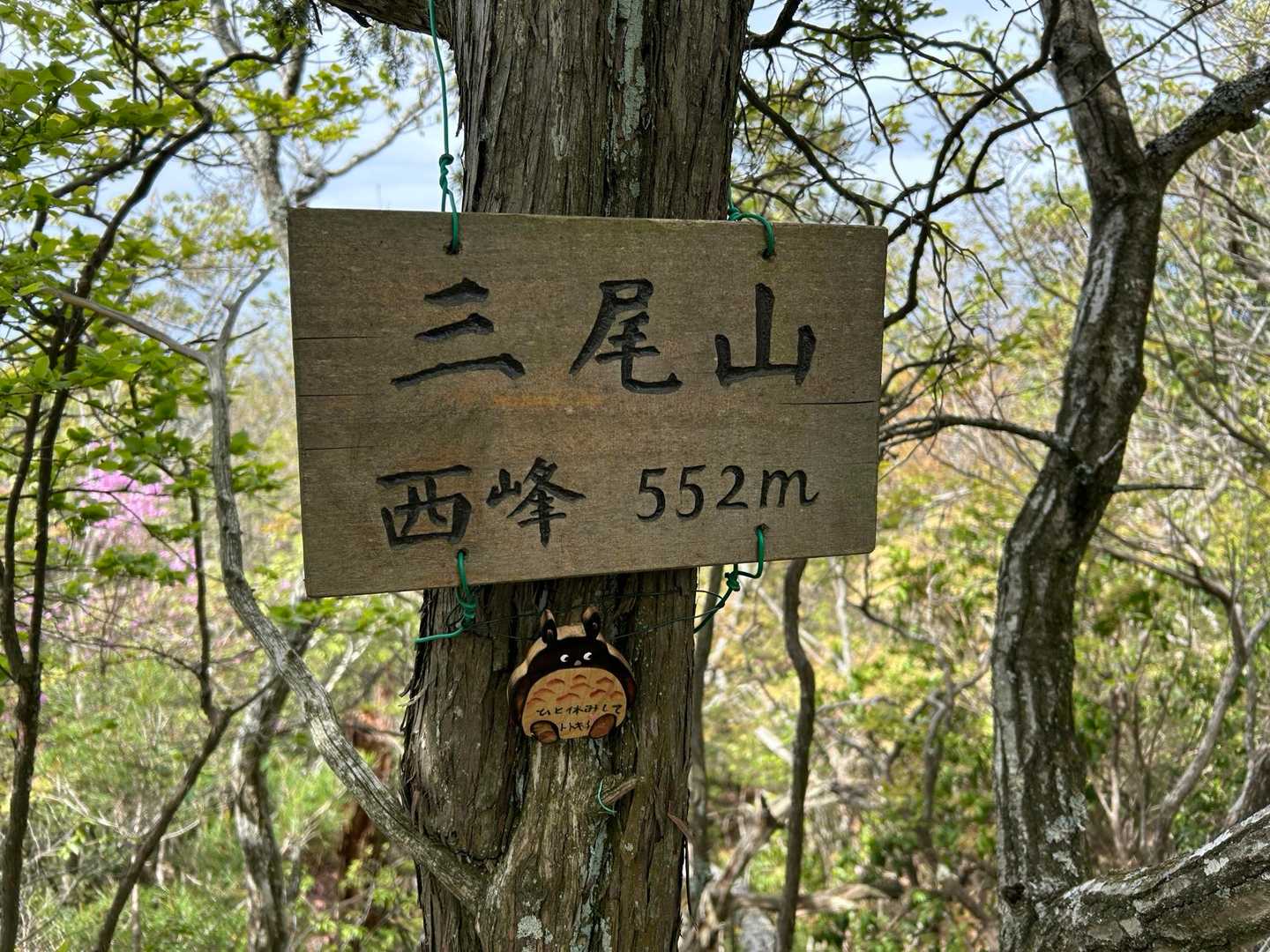 三尾山西峰山頂⛰️