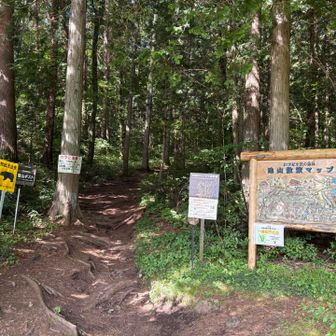 スタート🏃‍♂️