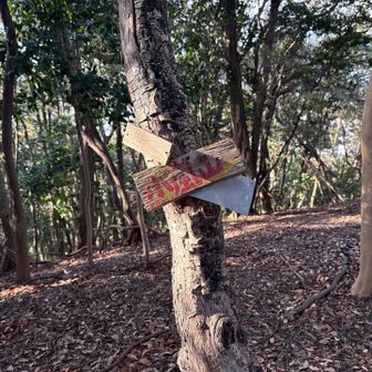 悔しいー小嵐山まで先程の表示から23分かかっている。
20分の壁を破れなかったー（←あんたはシン・山の神か？）