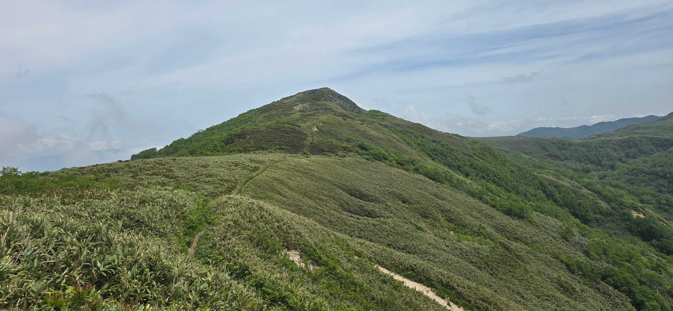 新見峠登山口-白樺山 往復コースの写真