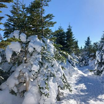 あとは横移動♪