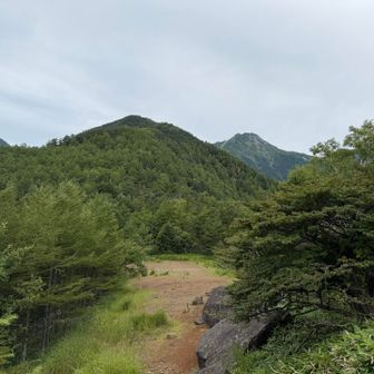 この先も藪漕ぎは続く、、