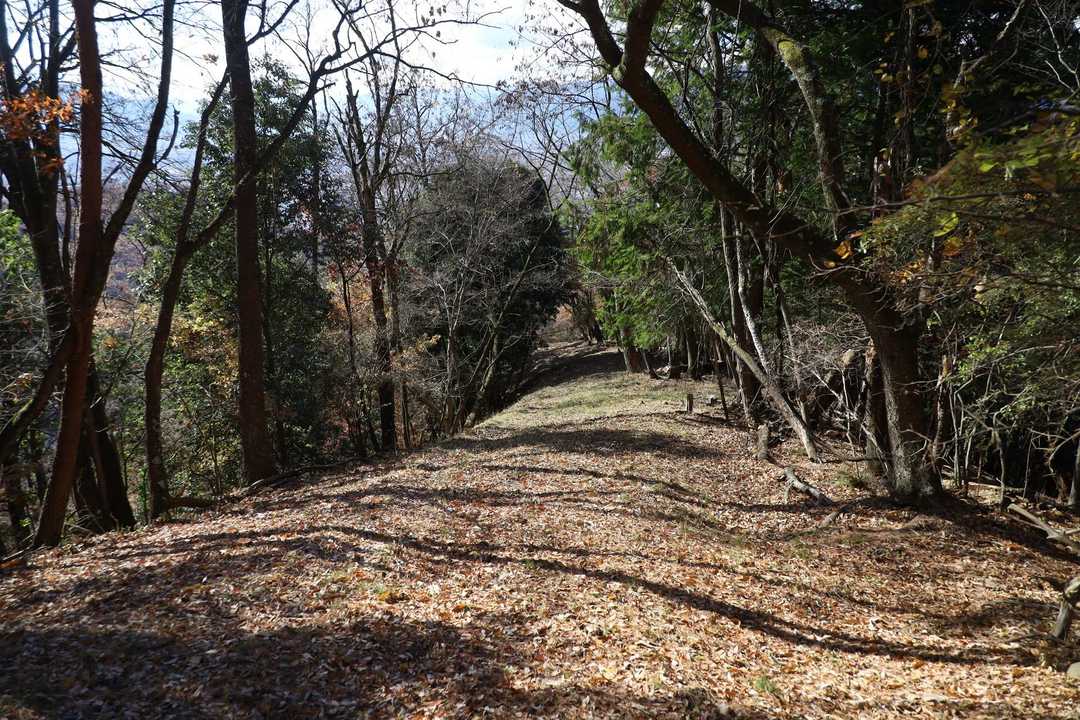 見た目より傾斜がある