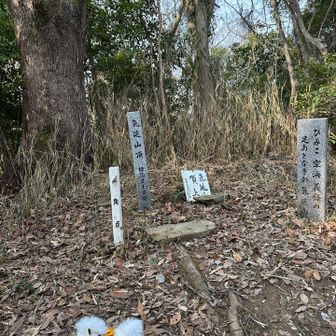 二度目の気延山山頂と三角点