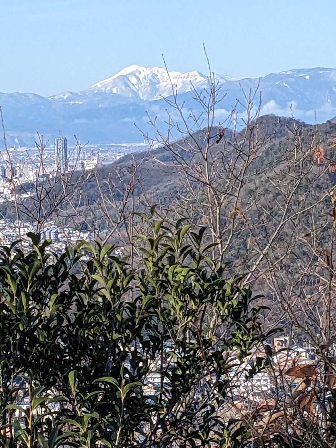 途中の登山道から西に伊吹山🏔