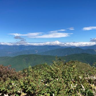石墨山方面。