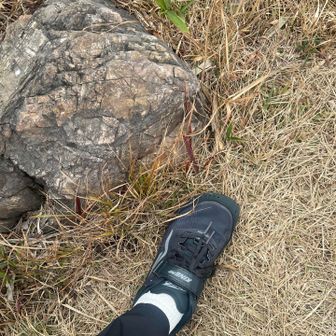 アルトラkingのデビュー日