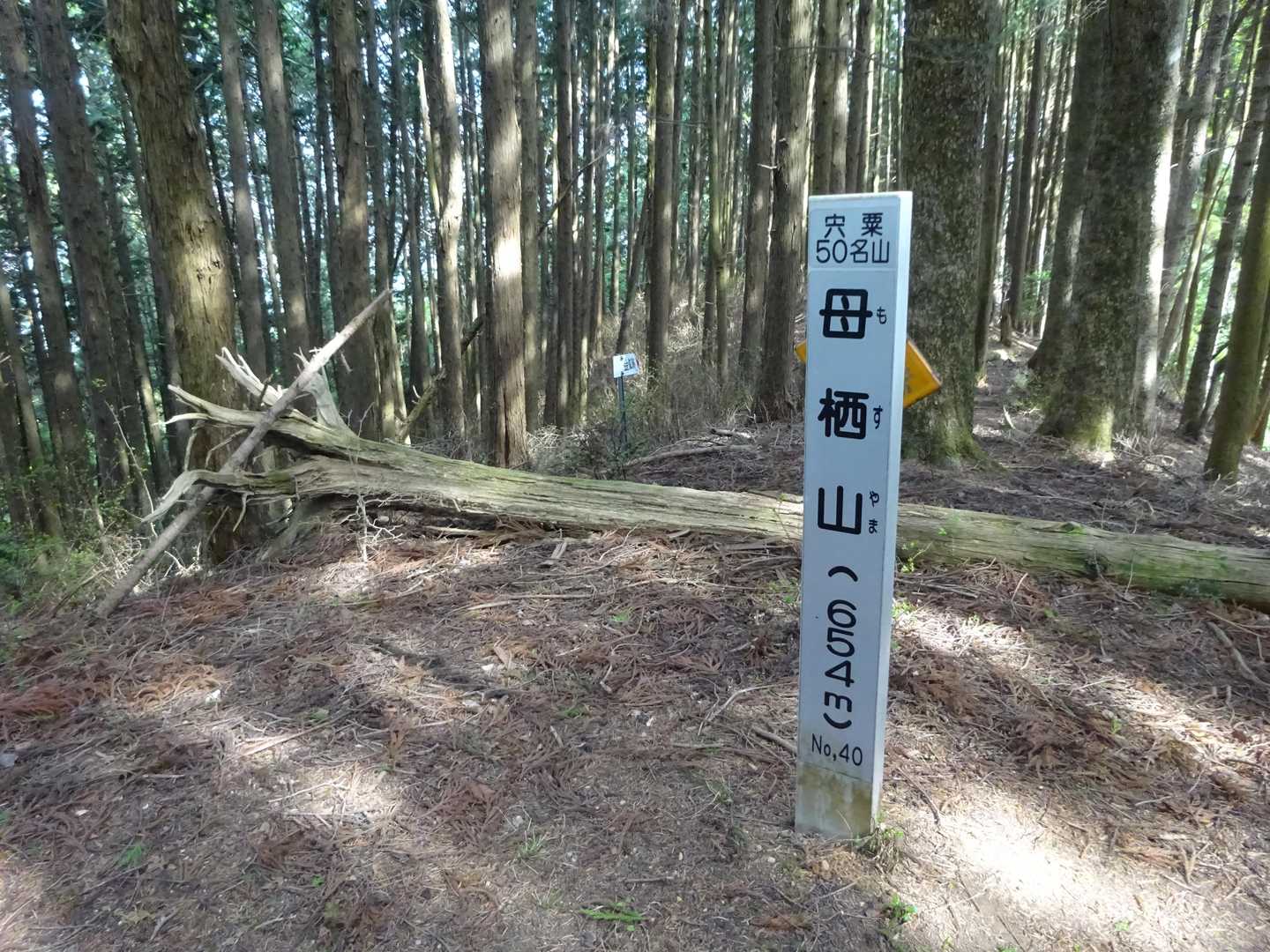 母栖山山頂　視界は有りません。