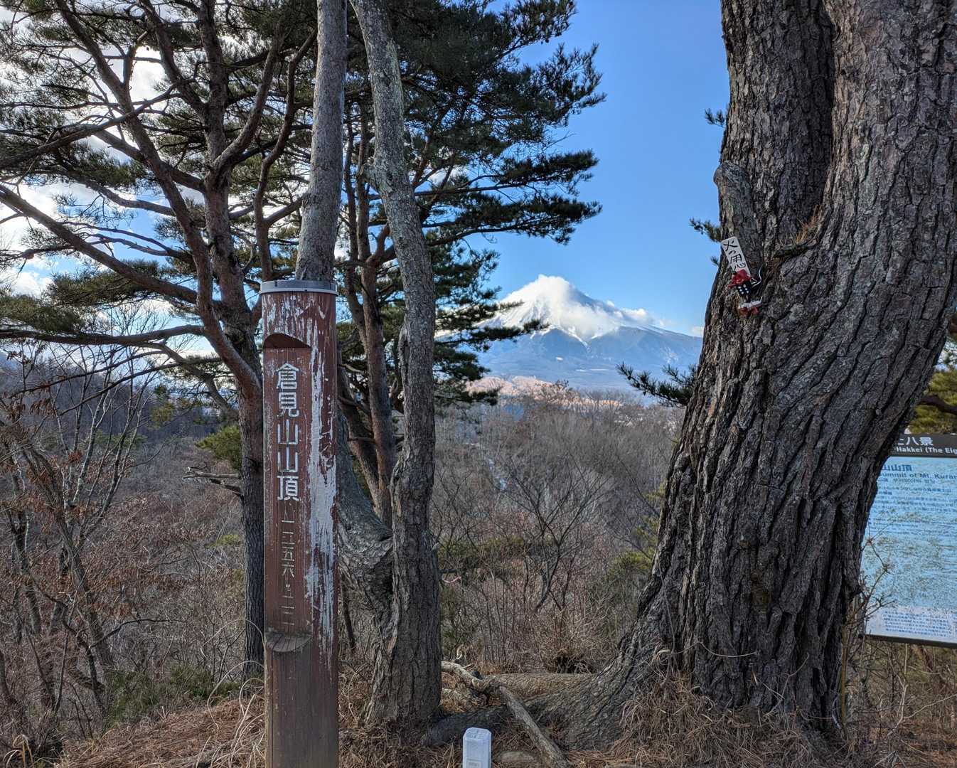 でも、カバー画像はこちら😁
やっぱり富士山🗻とのツーショットの方がいいですよね〜🥳
ただ、木がちょっと邪魔です😟