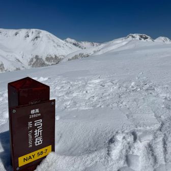 山頂標識はなんとか頭だけ出ていました。
弓折岳はYAMAPを始めるずっと以前の10年くらい前に、双六小屋のテン場にテントを張りっぱなしにして、1日目鷲羽岳、2日目黒部五郎岳、3日目笠ヶ岳、4日目に双六岳に登った際、笠ヶ岳に行く途中に寄った目立たないピークでしたが、この季節は〝わざわざ登りにくる〟価値のある立派なピークでした🏔️（1番奥に小さく鷲羽岳が見えています）