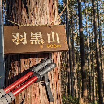 ここいいんかな？
っていう民家の脇を抜けて登るとすぐにグレピ羽黒山
ラストピークです
また来た道へ戻ってる軌跡が太いがそのまま縦走して舗装路に落ちてる軌跡もあるのよね🤔
悩んだ末、奥へ進むことに💪
詰んだら戻ってきます😅