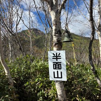 めっちゃ鳴らします🔔笑