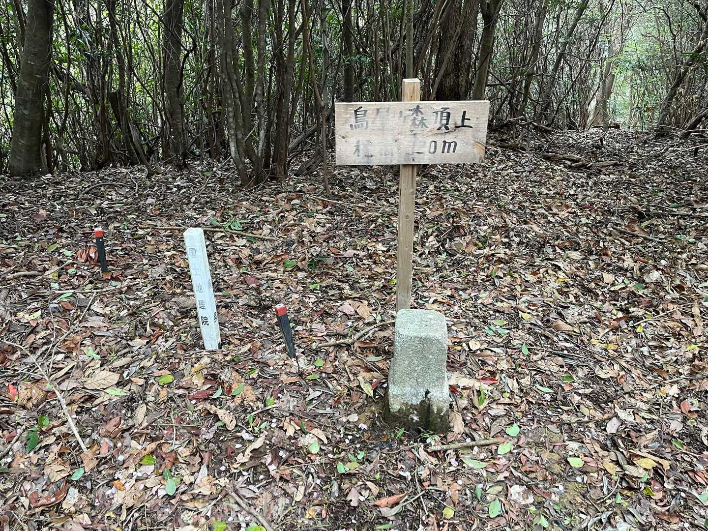 鳥屋ヶ森登山口-鳥屋ヶ森 往復コースの写真