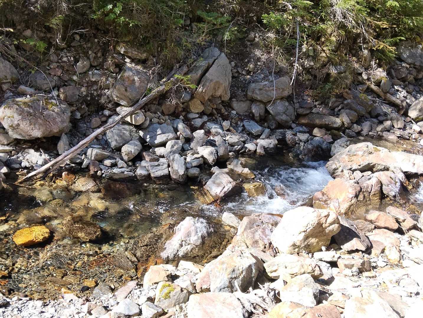 北沢峠-北沢峠バス停-栗沢山-アサヨ峰-仙水峠 周回コースの写真