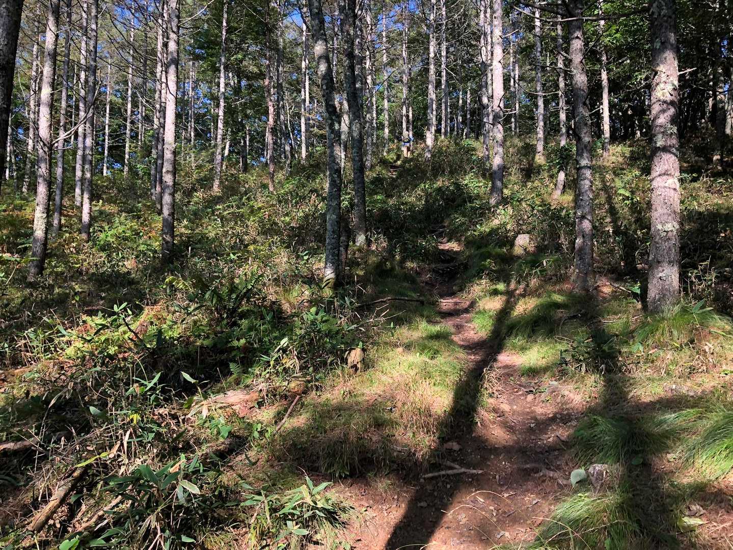やまなし県央「山のぼり・まち歩き」キャンペーンの対象となる山⛰️
登山道の整備がされており、安心して歩けますよ🤨