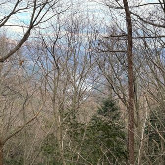 終点も残念な眺望でした😢