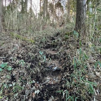 凍っている！！