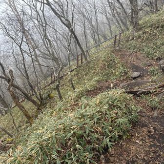 下山します
階段があって降りやすい