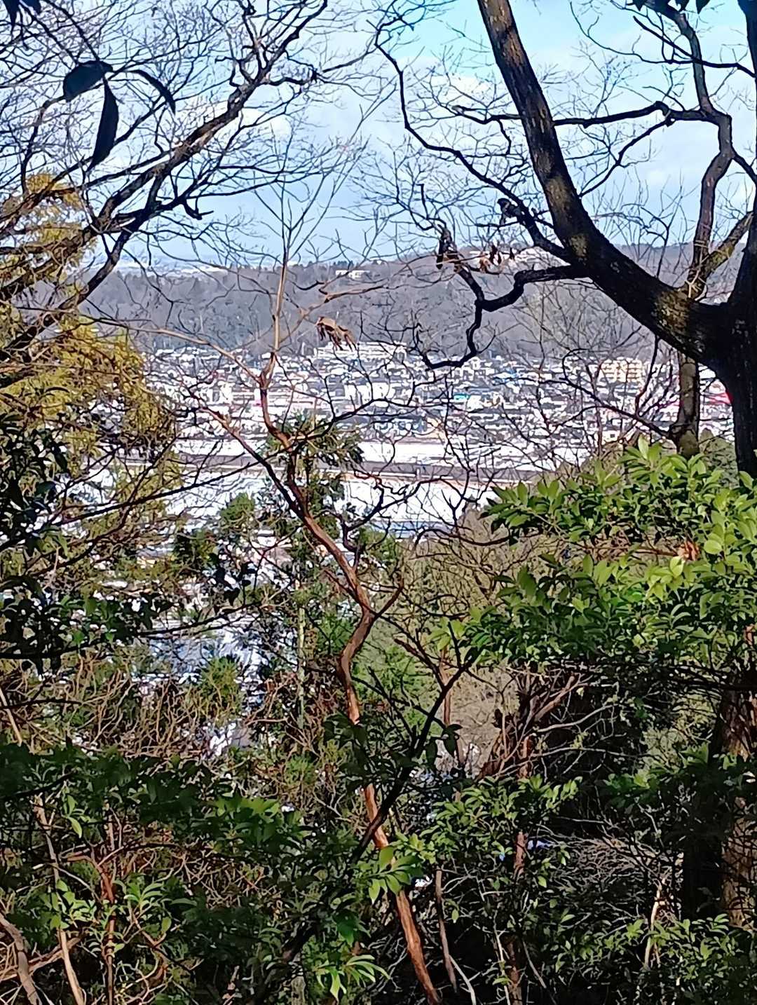 運動公園方面