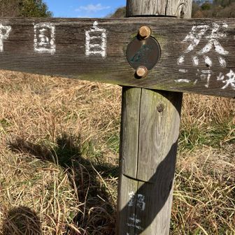 ここで折り返し。
過去の軌跡と繋がりました🗺️