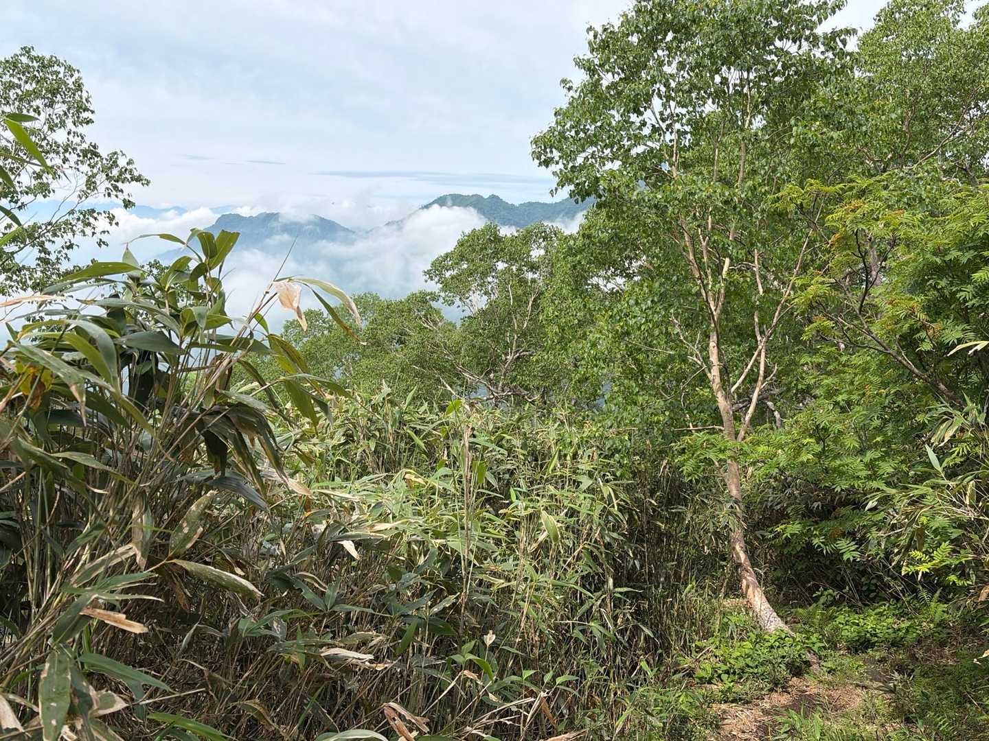 晴れ予報そのままに周囲の山が見えてきた。
両サイドは竹林でクマが出ないかと心配
死角を歩く前にクマ鈴を手で鳴らして突破