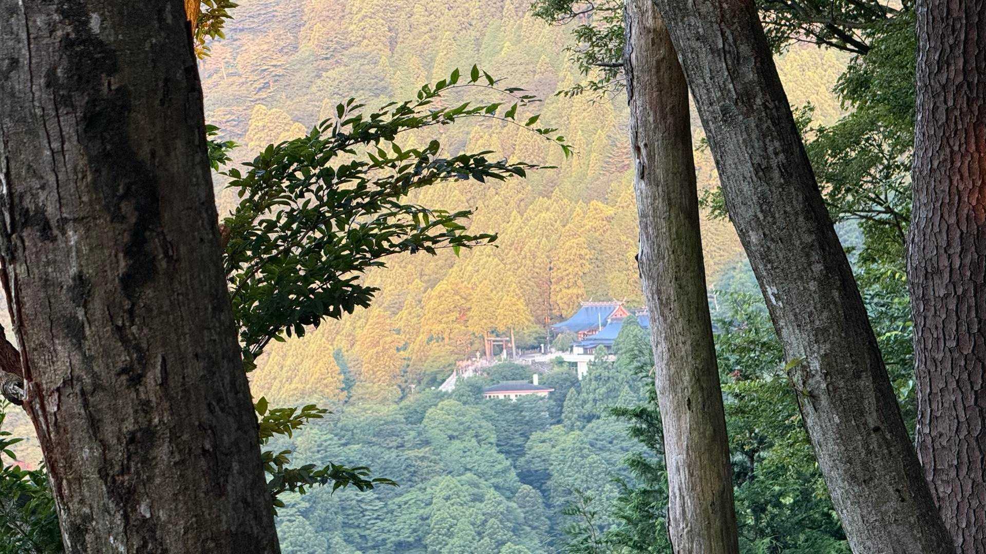 下社もあとほんの少しで日の出
下社はこちら側の稜線から太陽が出てくる🌄